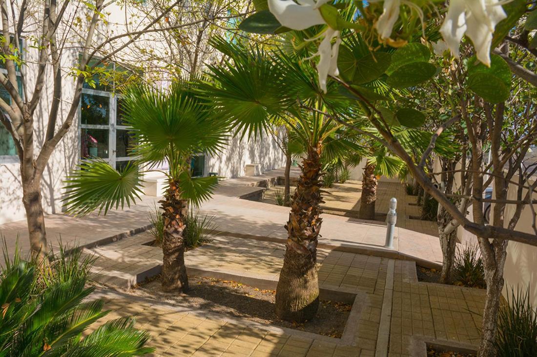 Hotel Siena Pénjamo Dış mekan fotoğraf